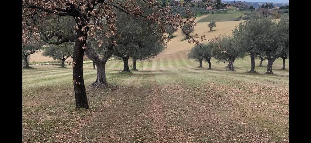 Villa Leone Pianella  Pianella (Pescara)