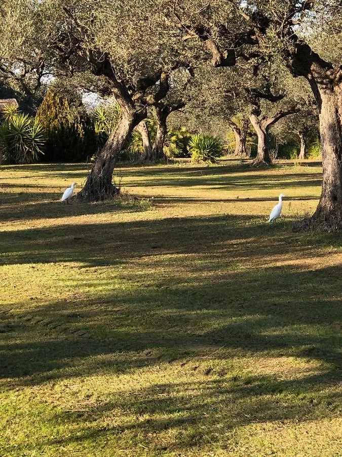Villa Leone Pianella  0*, Pianella (Pescara) Italy