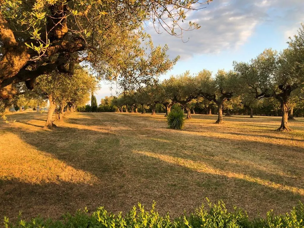 Villa Leone Pianella  Italy