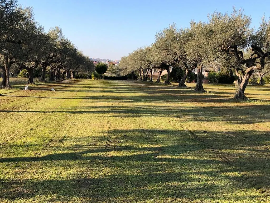 Villa Leone Pianella   Pianella (Pescara)